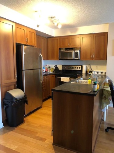 Kitchen - 1505-1200 Rue St-Jacques, Montréal (Ville-Marie), QC - Indoor Photo Showing Kitchen With Double Sink
