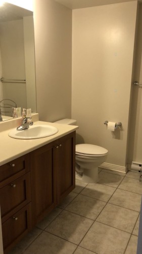 Bathroom - 1505-1200 Rue St-Jacques, Montréal (Ville-Marie), QC - Indoor Photo Showing Bathroom