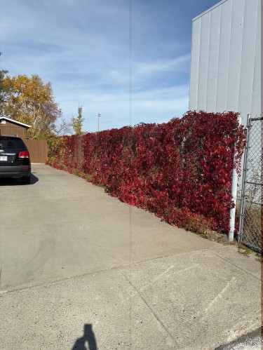 Entrée extérieure - 750 Av. Dion, Val-D'Or, QC - Outdoor