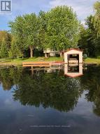 Summer Photo 1 - 