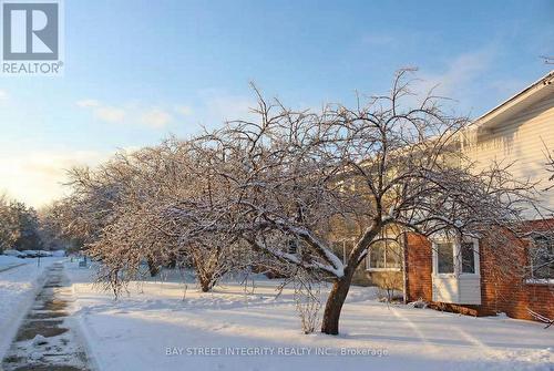 248 Westcourt Place, Waterloo, ON - Outdoor With View