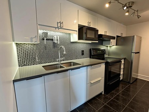 Cuisine - 404-850 Rue Muir, Montréal (Saint-Laurent), QC - Indoor Photo Showing Kitchen