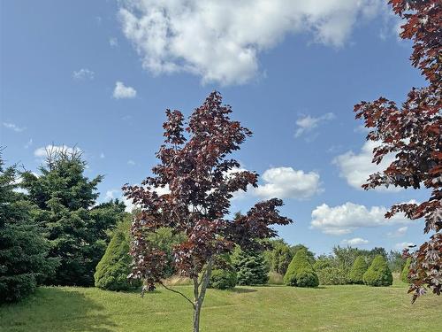 36 Eagle Head Wharf Road, Eagle Head, NS 