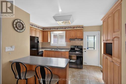 30 Basin Crescent, Hamilton, ON - Indoor Photo Showing Kitchen With Double Sink