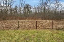 View of yard - 