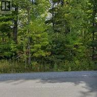 1505 LABONTE STREET Clarence-Rockland, ON K0A 1N0