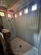 Shower (bathroom) - 