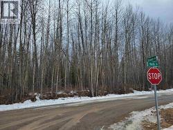 LOT 28 YORK DRIVE Vanderhoof, BC V0J 3A1