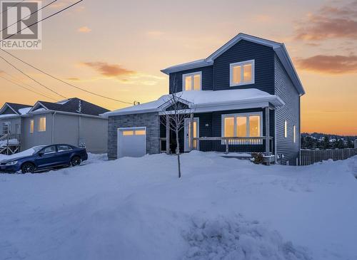 38 Quantum Drive  Paradise, NL None