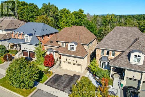 290 Eaton Street, Halton Hills, ON - Outdoor