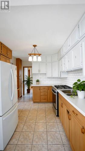 227 Cumberland Avenue, Hamilton, ON - Indoor Photo Showing Kitchen With Double Sink