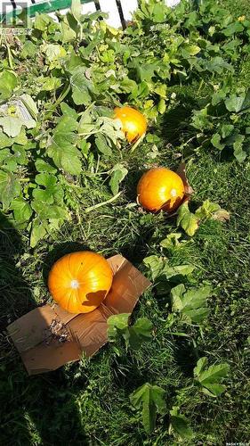 Nw1 34-24-W2, Usborne Rm No. 310, SK - Outdoor