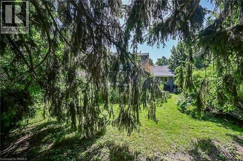 View of grassy yard - 56 Forsythe Avenue, Brantford, ON - Outdoor