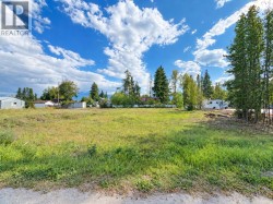 1123 5TH AVENUE Valemount, BC V0E 2Z0