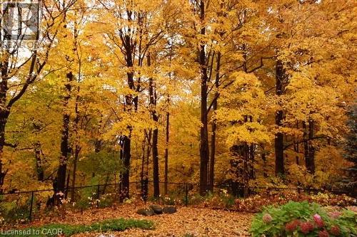 3952 Rolling Valley Drive, Mississauga, ON - Outdoor With View