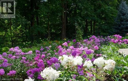 3952 Rolling Valley Drive, Mississauga, ON - Outdoor