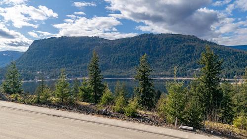 282 Bayview Drive, Sicamous, BC - Outdoor With View
