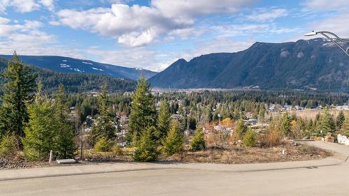 282 Bayview Drive, Sicamous, BC - Outdoor With View