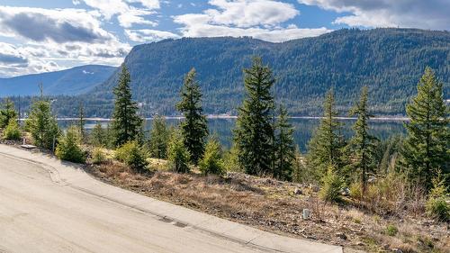 282 Bayview Drive, Sicamous, BC - Outdoor With View