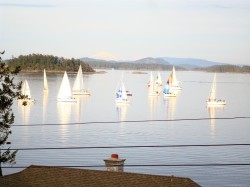 10502 Jocelyn Pl Sidney, BC V8L 2P5