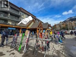 2050 SUMMIT Drive Unit# 205 Panorama, BC V0A 1T0