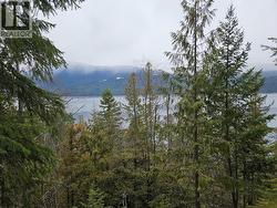 2180 15TH Avenue NW Nakusp, BC V0G 1R1