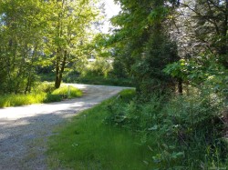4510 Bedwell Harbour Rd Pender Island, BC V0N 2M1