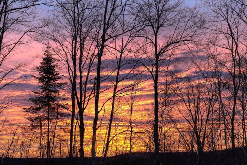 Vue - 7 Ch. Minotti, La Minerve, QC - Outdoor With View