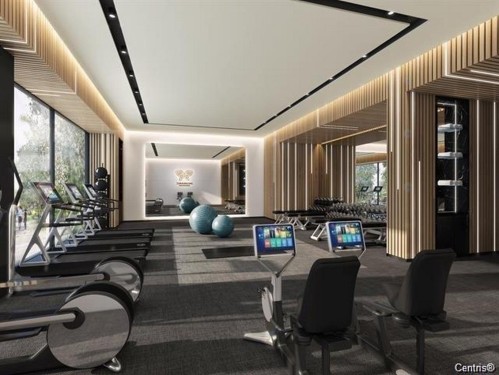 Salle d'exercice - 604-3000 Boul. Thimens, Montréal (Saint-Laurent), QC - Indoor Photo Showing Gym Room