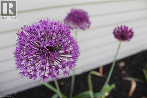 449 Greenfield Avenue, Kitchener, ON - 