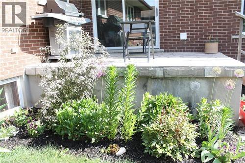 449 Greenfield Avenue, Kitchener, ON - Outdoor
