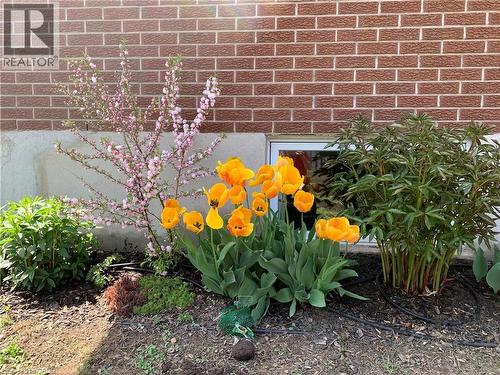 449 Greenfield Avenue, Kitchener, ON - 