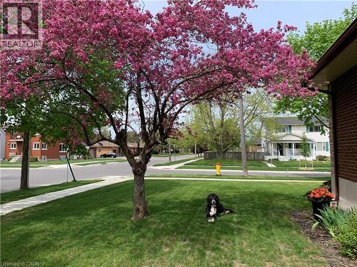 449 Greenfield Avenue, Kitchener, ON - Outdoor