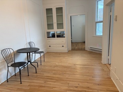 Living Room - 5215B Rue Jeanne-Mance, Montréal (Le Plateau-Mont-Royal), QC - Indoor Photo Showing Other Room