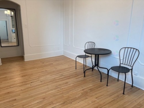 Living Room - 5215B Rue Jeanne-Mance, Montréal (Le Plateau-Mont-Royal), QC - Indoor Photo Showing Other Room