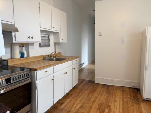 Kitchen - 5215B Rue Jeanne-Mance, Montréal (Le Plateau-Mont-Royal), QC - Indoor Photo Showing Kitchen