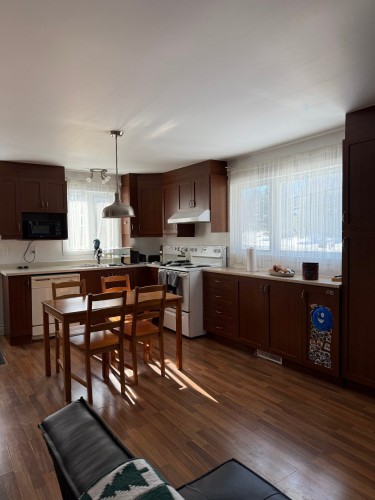 Cuisine - 222 Ch. Masson, Sainte-Marguerite-Du-Lac-Masson, QC - Indoor Photo Showing Kitchen