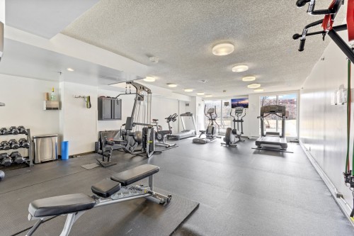 Salle d'exercice - 1406-1280 Rue St-Jacques, Montréal (Ville-Marie), QC - Indoor Photo Showing Gym Room