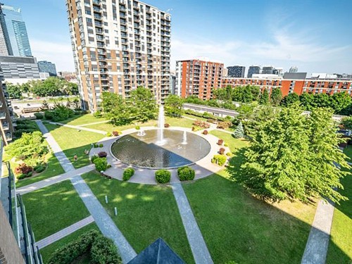 Jardin - 1406-1280 Rue St-Jacques, Montréal (Ville-Marie), QC - Outdoor