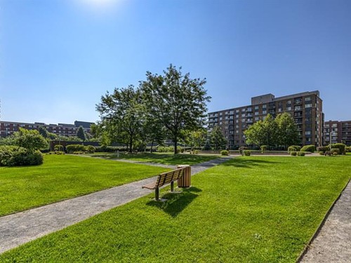 Jardin - 1406-1280 Rue St-Jacques, Montréal (Ville-Marie), QC - Outdoor