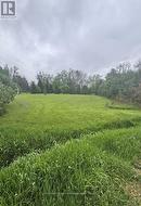 2797 FURNISS CRESCENT Ramara, ON L0K 1B0