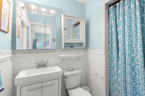 Salle de bains - 117 Rue Melrose, Hudson, QC - Indoor Photo Showing Bathroom