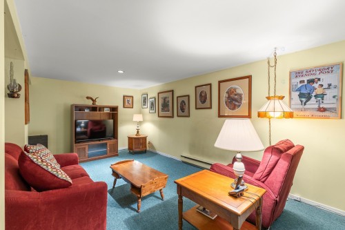 Salle de jeux - 117 Rue Melrose, Hudson, QC - Indoor Photo Showing Living Room