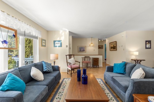 Intérieur - 117 Rue Melrose, Hudson, QC - Indoor Photo Showing Living Room