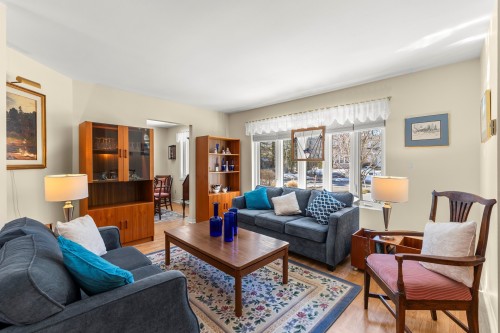 Salon - 117 Rue Melrose, Hudson, QC - Indoor Photo Showing Living Room