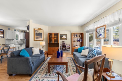 Salon - 117 Rue Melrose, Hudson, QC - Indoor Photo Showing Living Room
