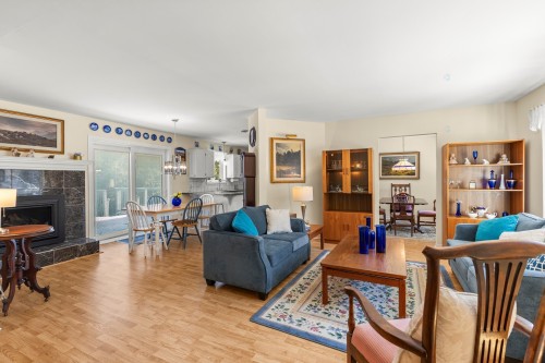 Intérieur - 117 Rue Melrose, Hudson, QC - Indoor Photo Showing Living Room With Fireplace