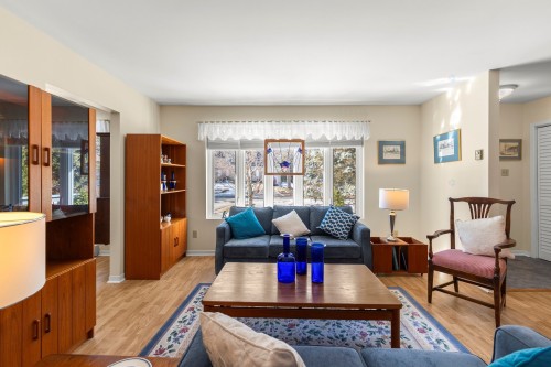 Salon - 117 Rue Melrose, Hudson, QC - Indoor Photo Showing Living Room