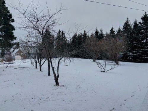 Lot - 4 Ch. Glenn, Escuminac, QC - Outdoor With View