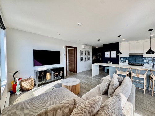 Living Room - 101-79 Av. Elm, Beaconsfield, QC - Indoor Photo Showing Living Room